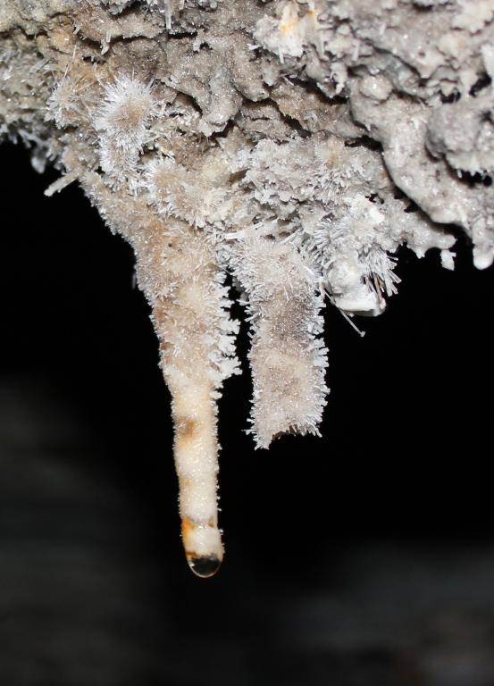 Cristalli prismatici di gesso su stalattiti.